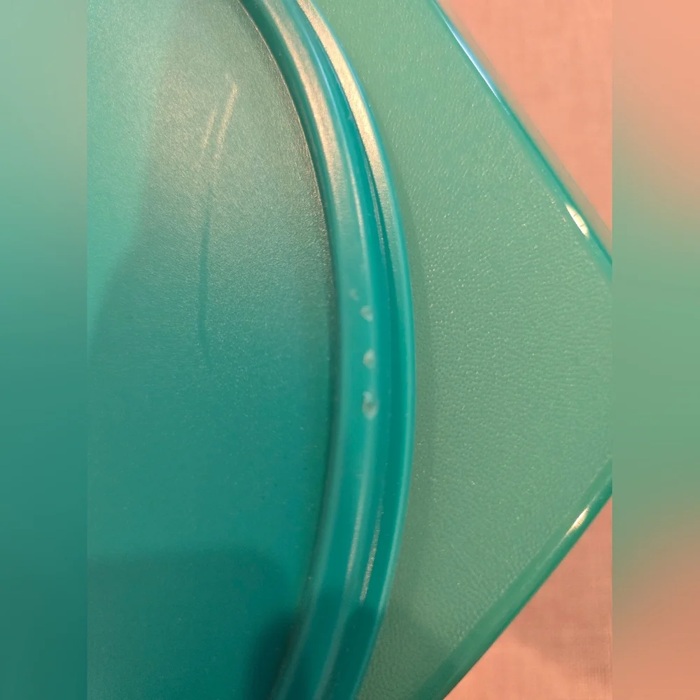 Tupperware Tortilla Keeper